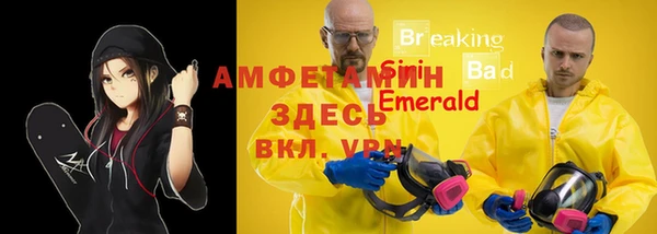 скорость Бердск