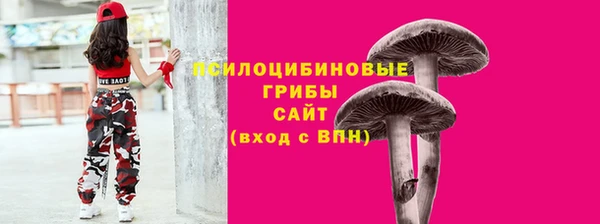 скорость Липки